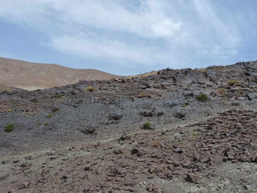 1._p1210968.jpg 1._p1210968.jpg