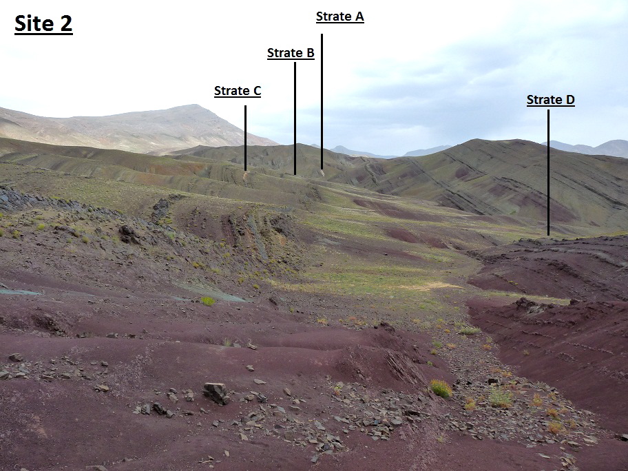 2._a_b_c_d._p1220097.jpg 2._a_b_c_d._p1220097.jpg