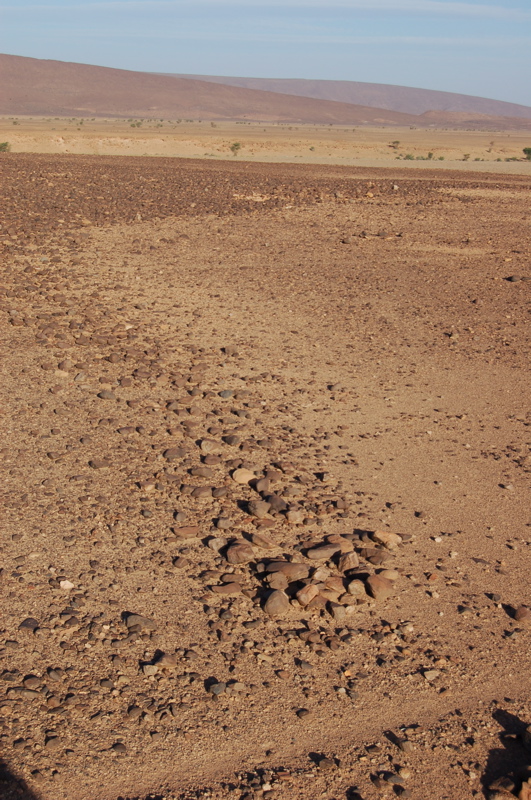 26_rive_gauche.jpg 26_rive_gauche.jpg