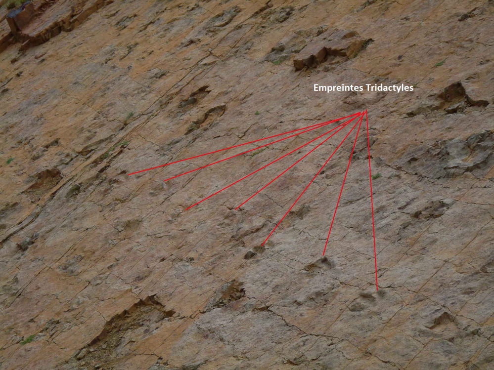 2a._p1210890.jpg 2a._p1210890.jpg