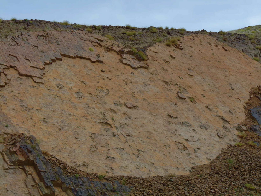 2a._p1220004.jpg 2a._p1220004.jpg