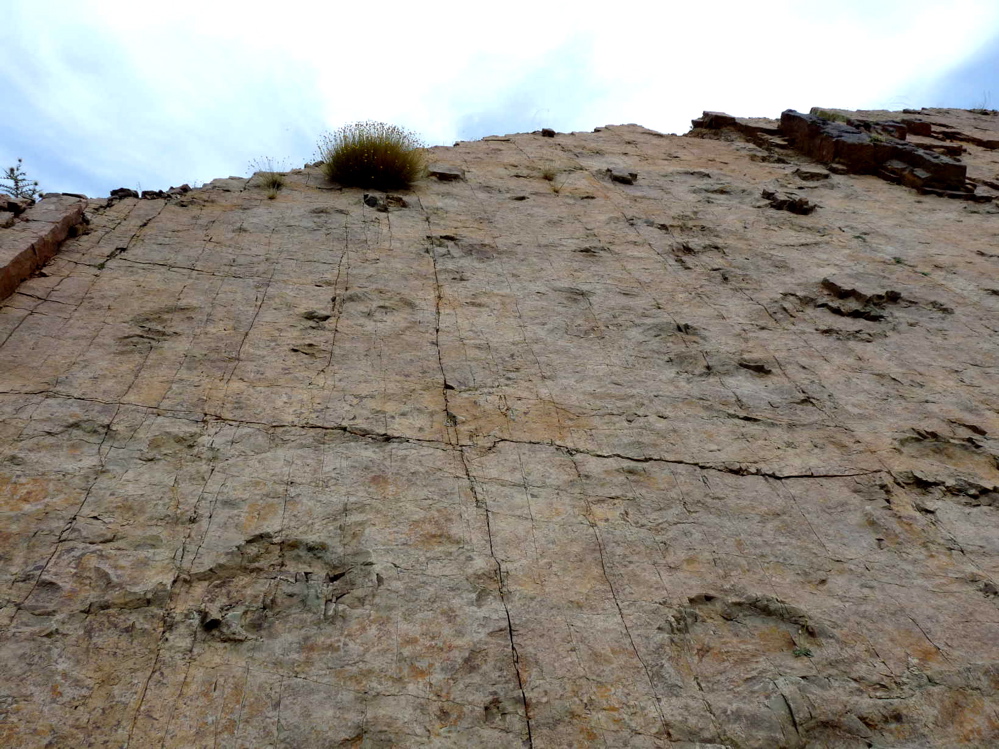 2a._p1220007.jpg 2a._p1220007.jpg