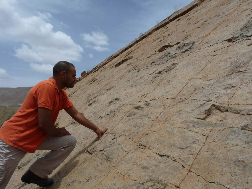 2a._p1220022.jpg 2a._p1220022.jpg