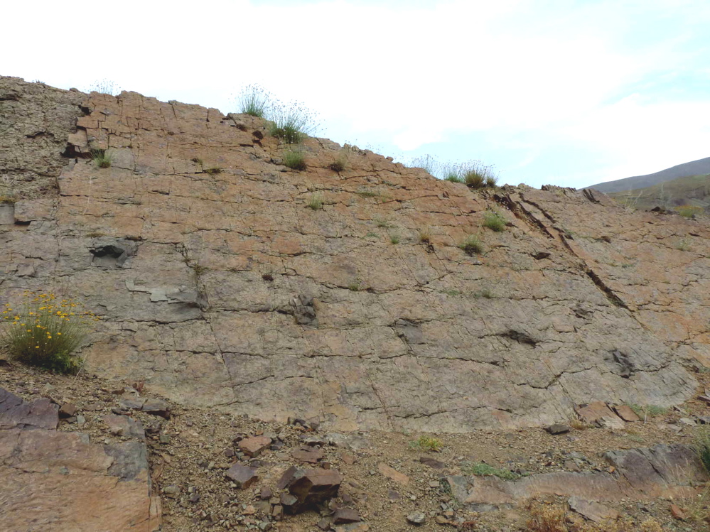 2b._p1220035.jpg 2b._p1220035.jpg