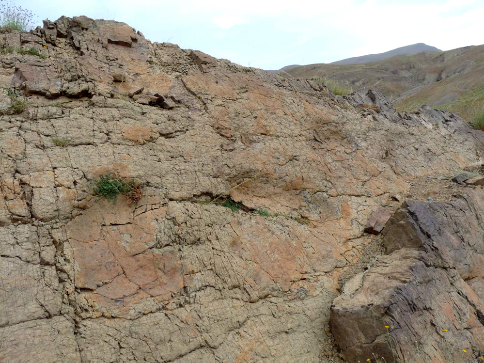 2b._p1220038.jpg 2b._p1220038.jpg