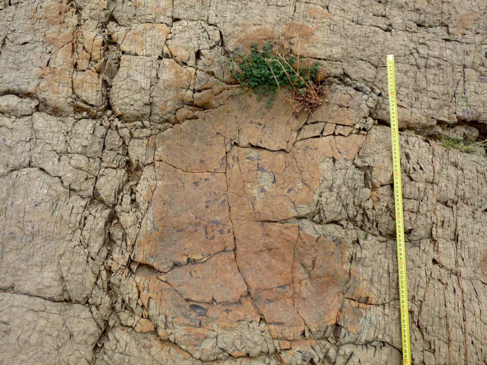 2b._p1220039.jpg 2b._p1220039.jpg