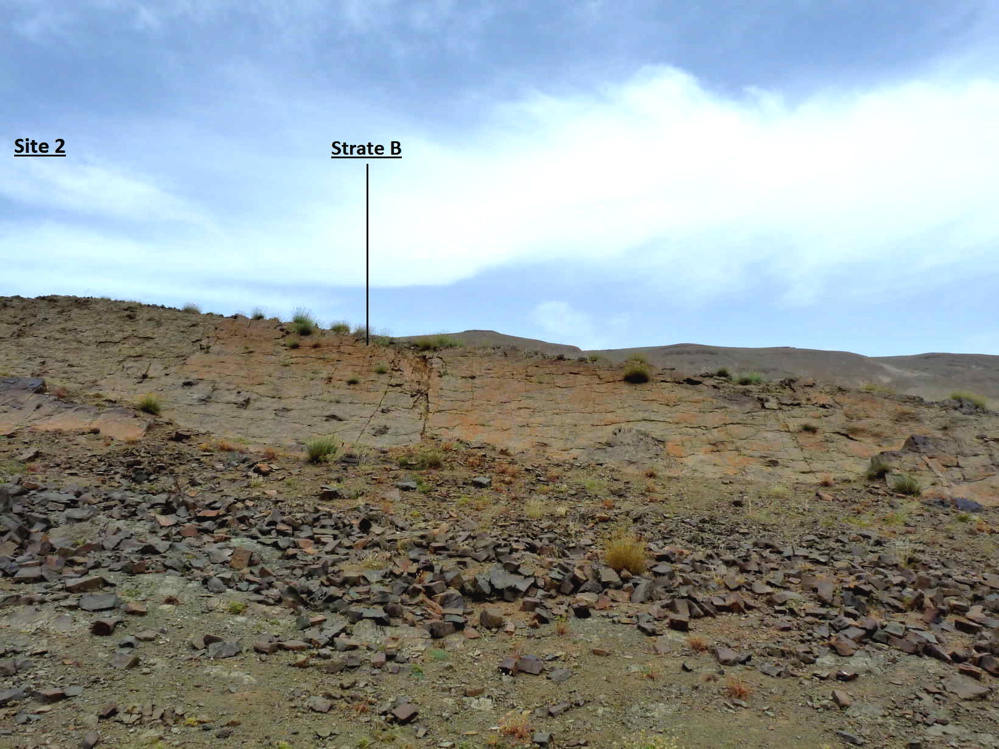 2b_1._p1220043.jpg 2b_1._p1220043.jpg