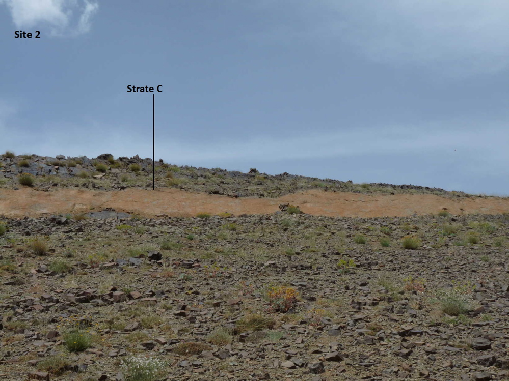 2c_1._p1220162.jpg 2c_1._p1220162.jpg