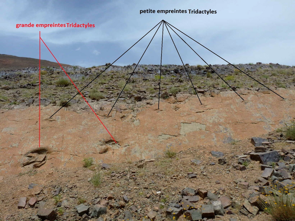 2c_2._p1220083.jpg 2c_2._p1220083.jpg