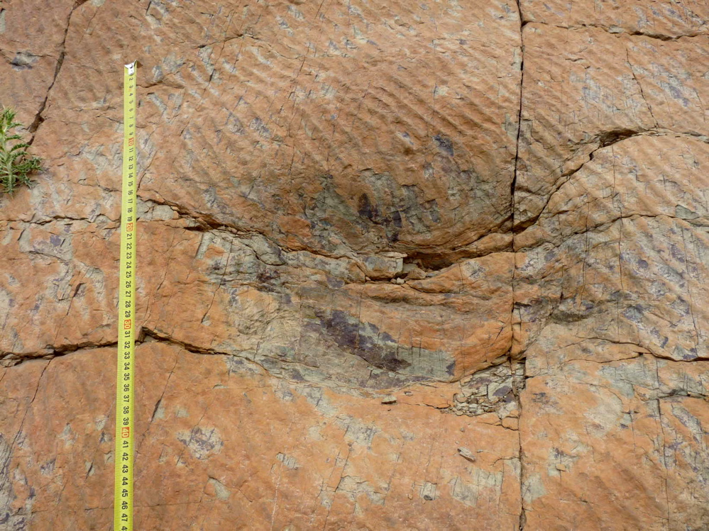 2c_p1220069.jpg 2c_p1220069.jpg