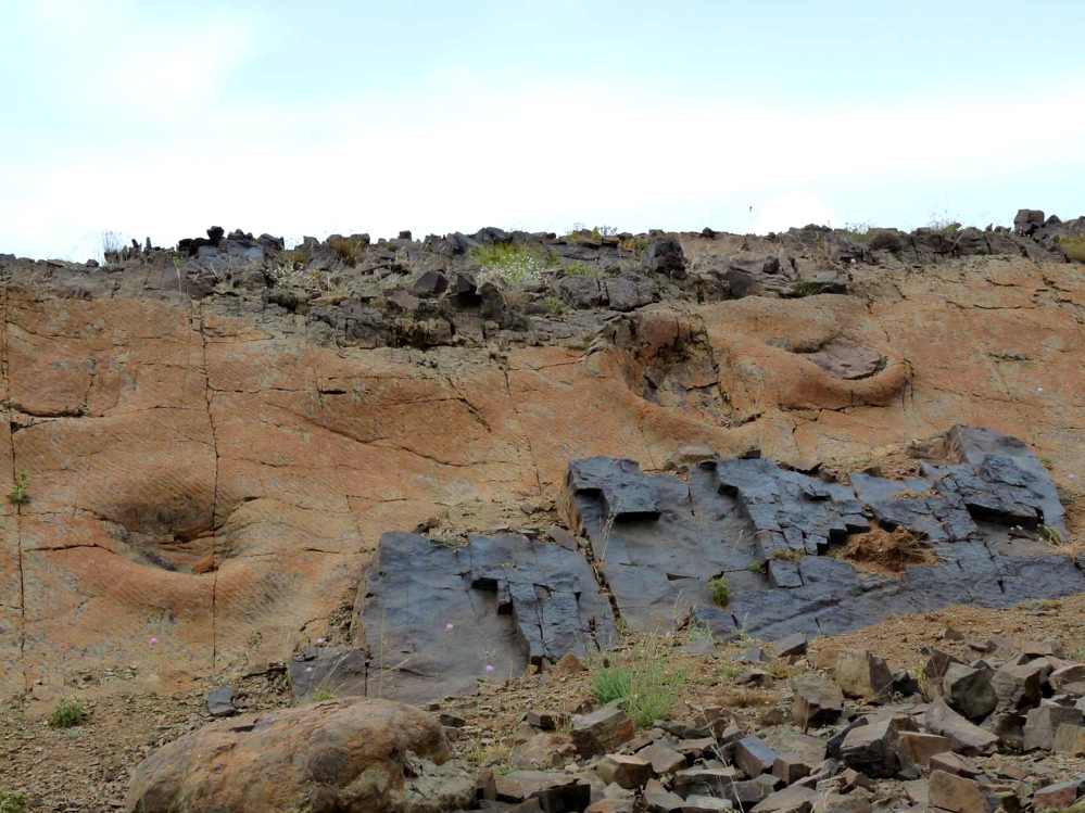 2c_p1220141.jpg 2c_p1220141.jpg