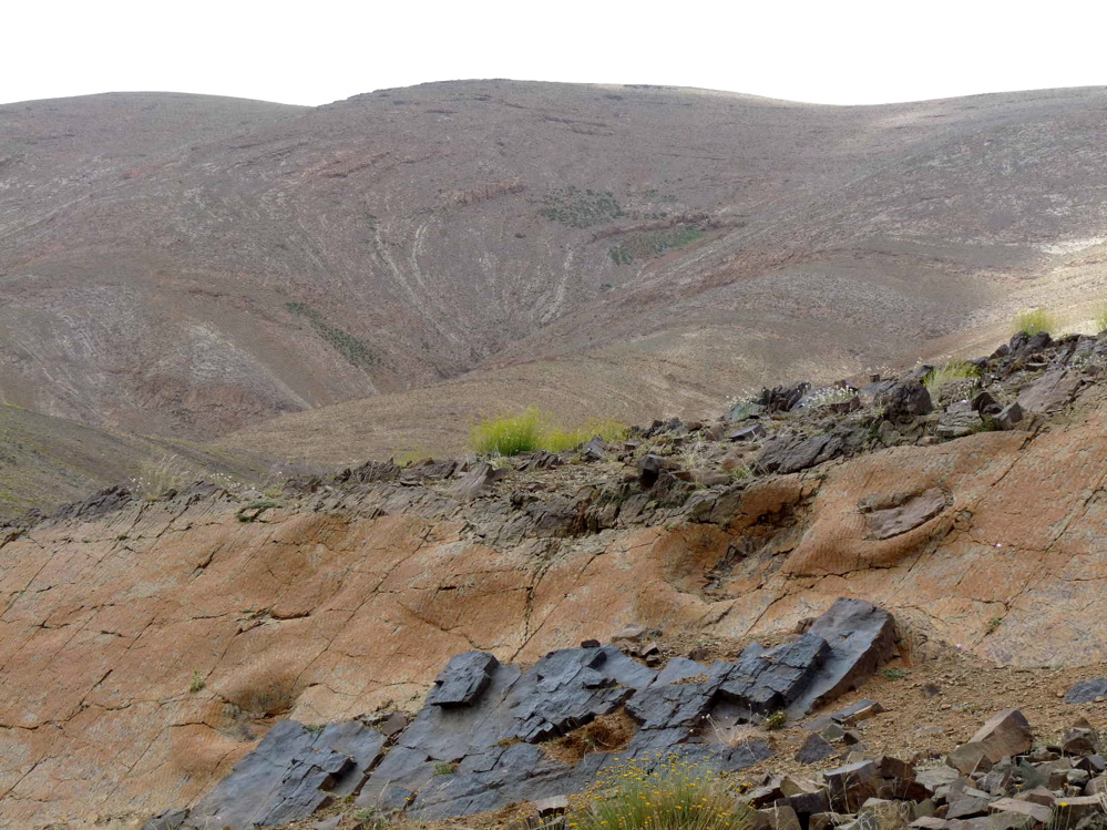 2c_p1220142.jpg 2c_p1220142.jpg