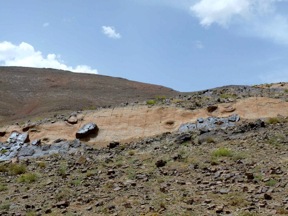 2c_p1220161.jpg 2c_p1220161.jpg