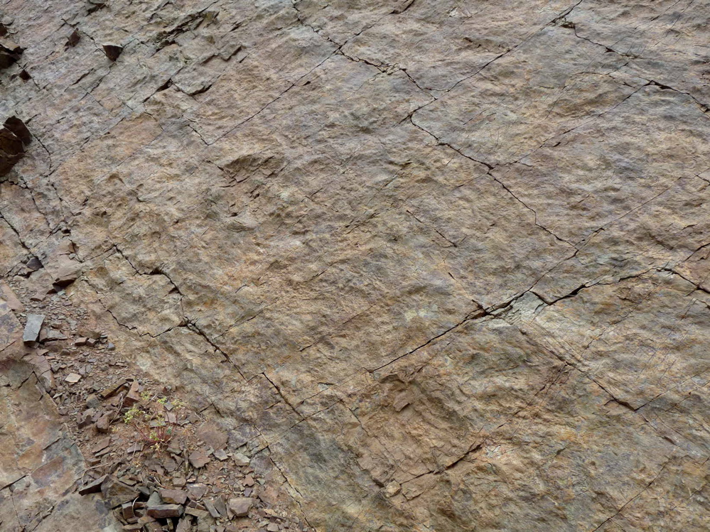 2d._p1220170.jpg 2d._p1220170.jpg