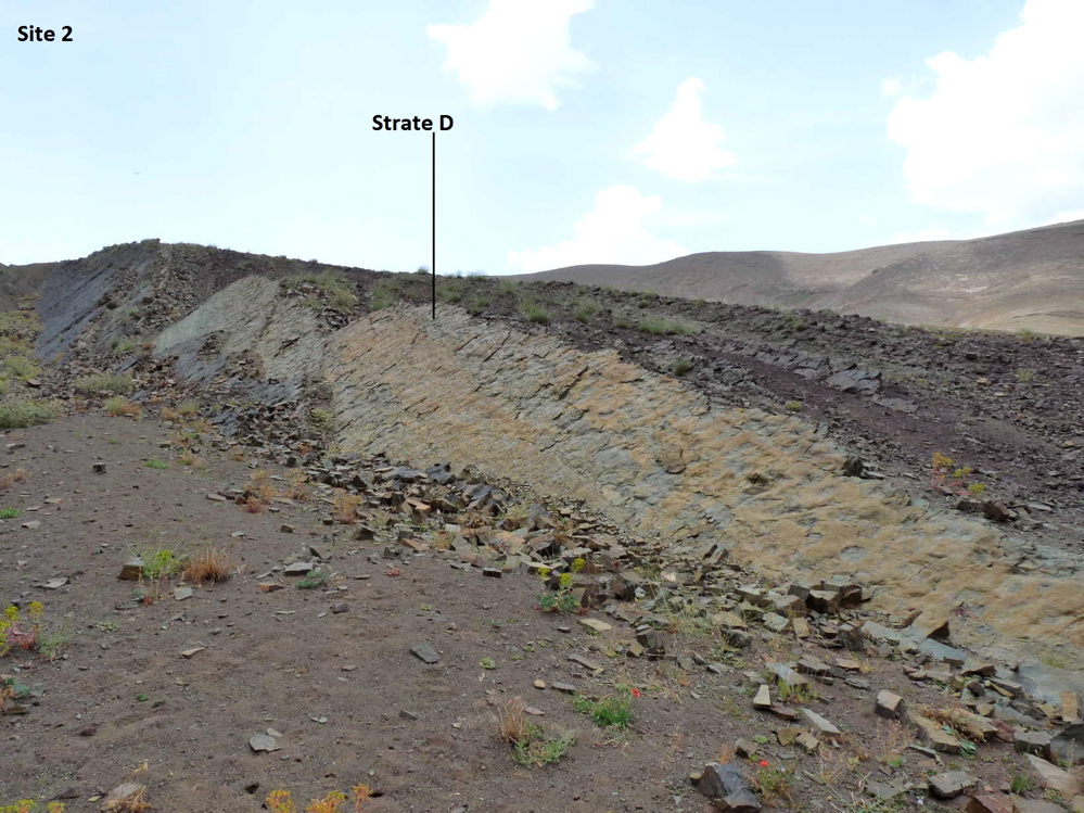 2d._p1220171.jpg 2d._p1220171.jpg