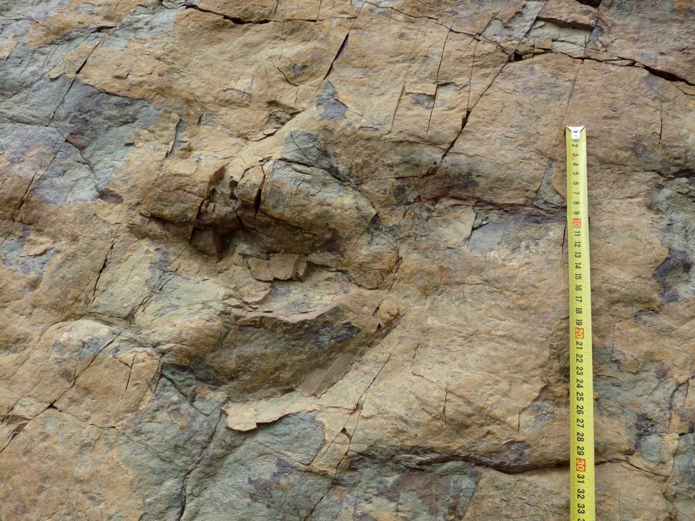 2d._p1220173.jpg 2d._p1220173.jpg