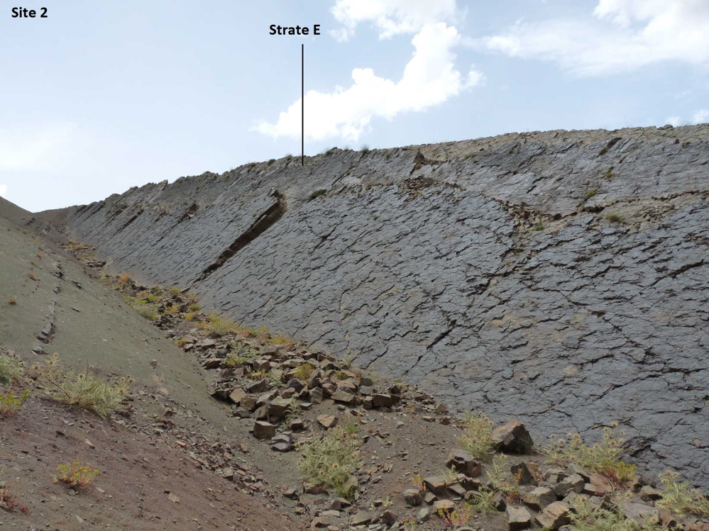 2e_2._p1220194.jpg 2e_2._p1220194.jpg