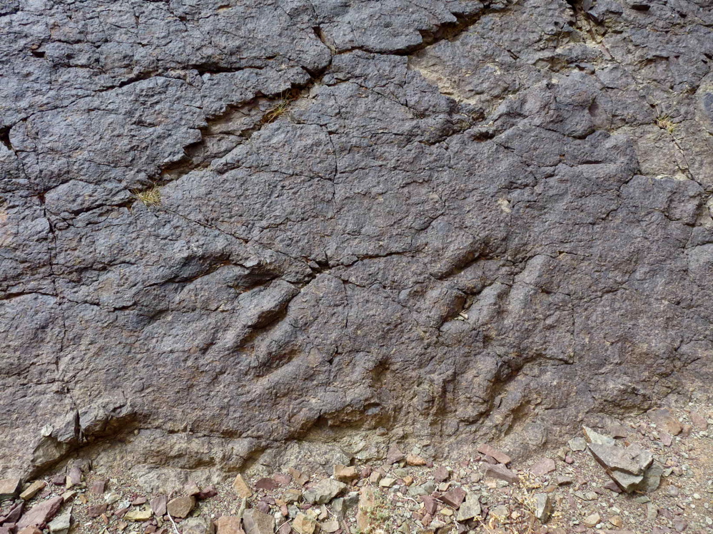 2e_p1220188.jpg 2e_p1220188.jpg