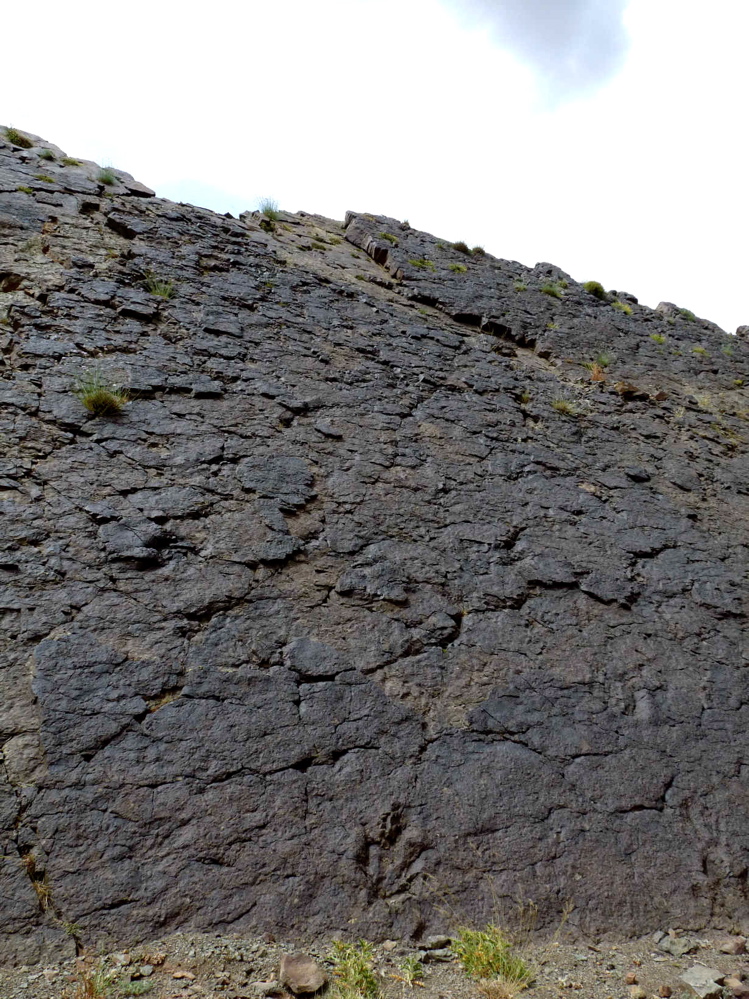 2e_p1220189.jpg 2e_p1220189.jpg