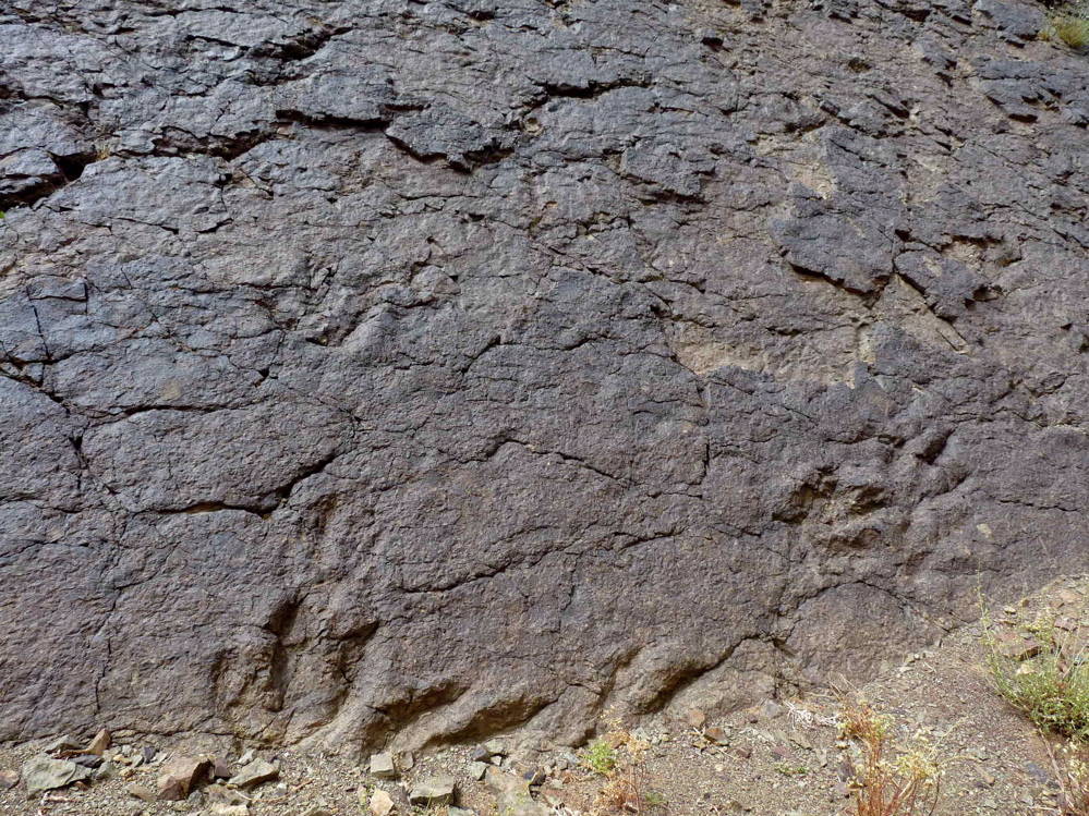 2e_p1220190.jpg 2e_p1220190.jpg