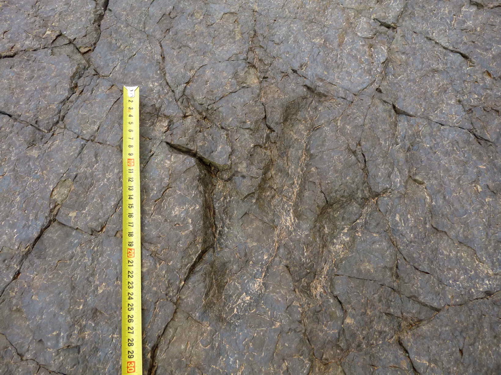 3._p1220235.jpg 3._p1220235.jpg