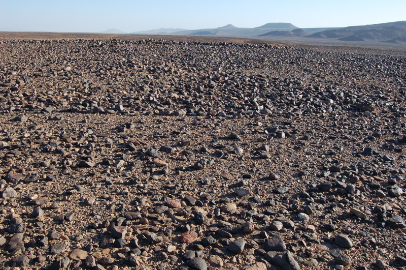 31_rive_gauche.jpg 31_rive_gauche.jpg