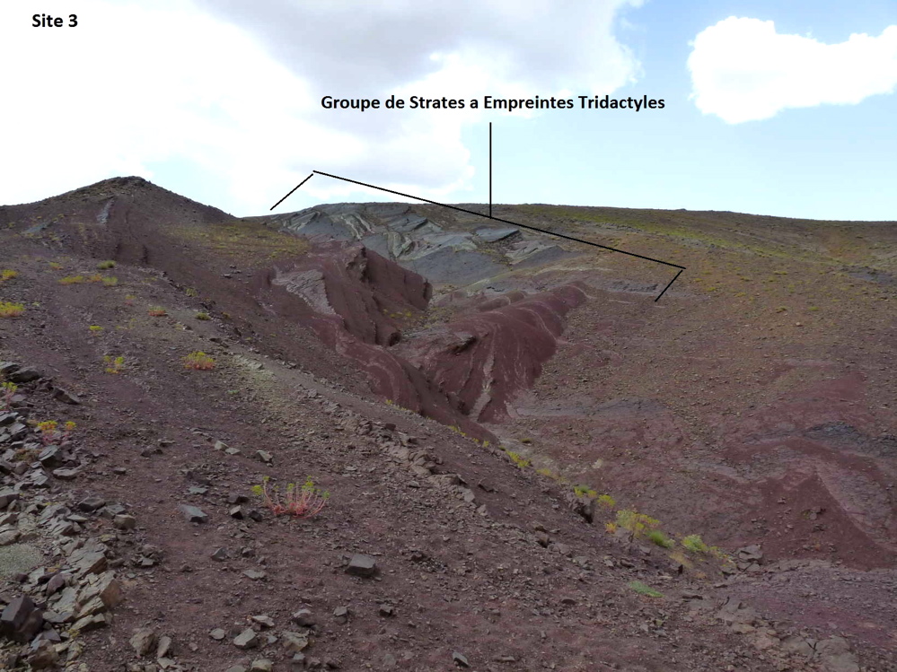 3_1._p1220204.jpg 3_1._p1220204.jpg