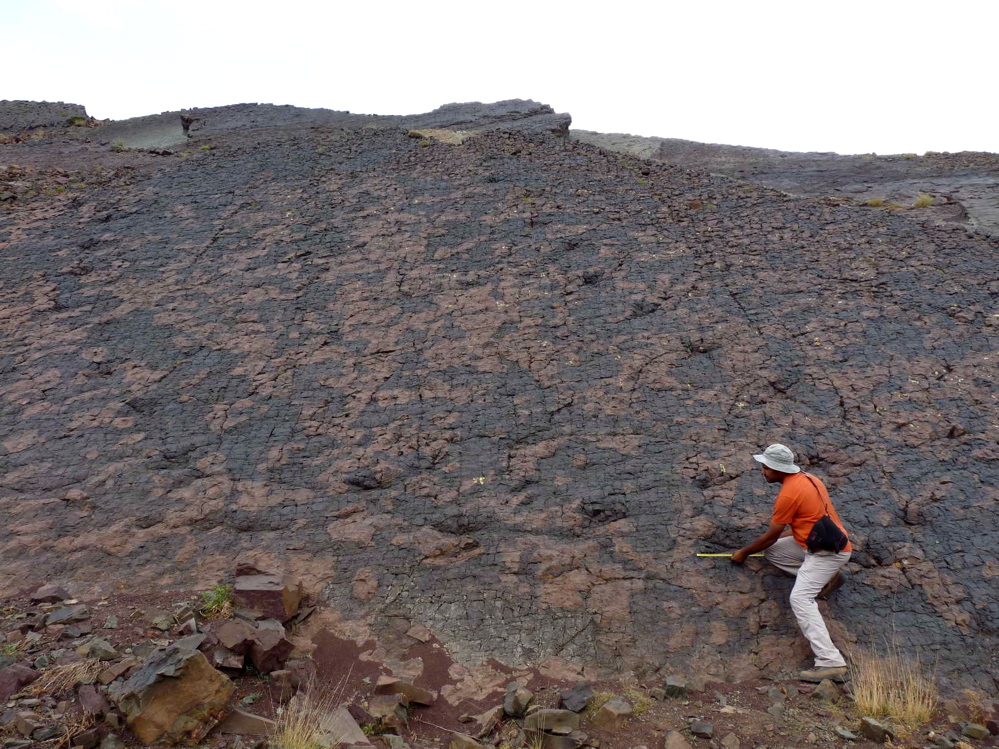 3_1._p1220246.jpg 3_1._p1220246.jpg