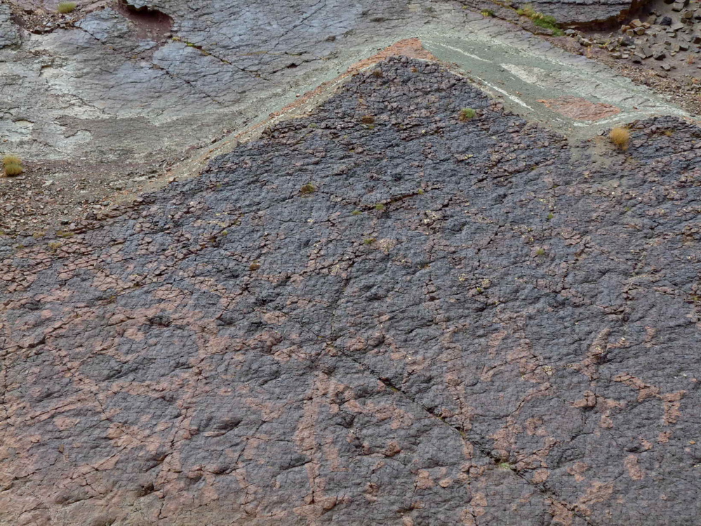 3_2._p1220277.jpg 3_2._p1220277.jpg