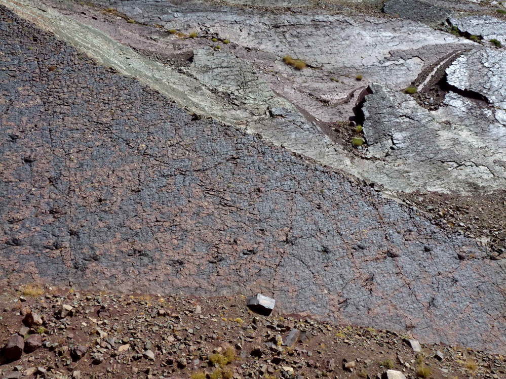 3_3._p1220431.jpg 3_3._p1220431.jpg