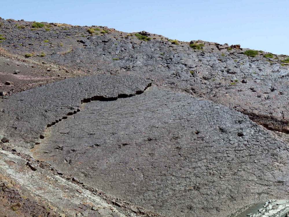 3_5._p1220414.jpg 3_5._p1220414.jpg