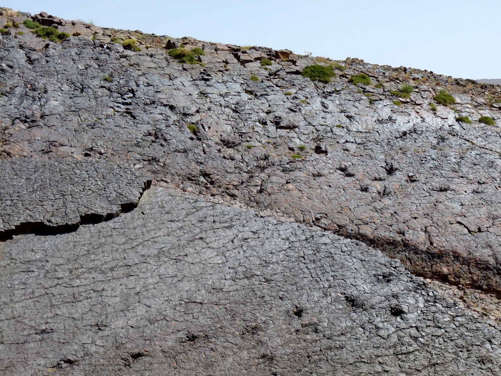 3_5._p1220416.jpg 3_5._p1220416.jpg