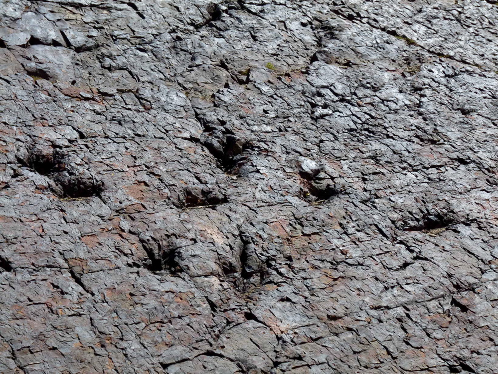 3_5._p1220422.jpg 3_5._p1220422.jpg