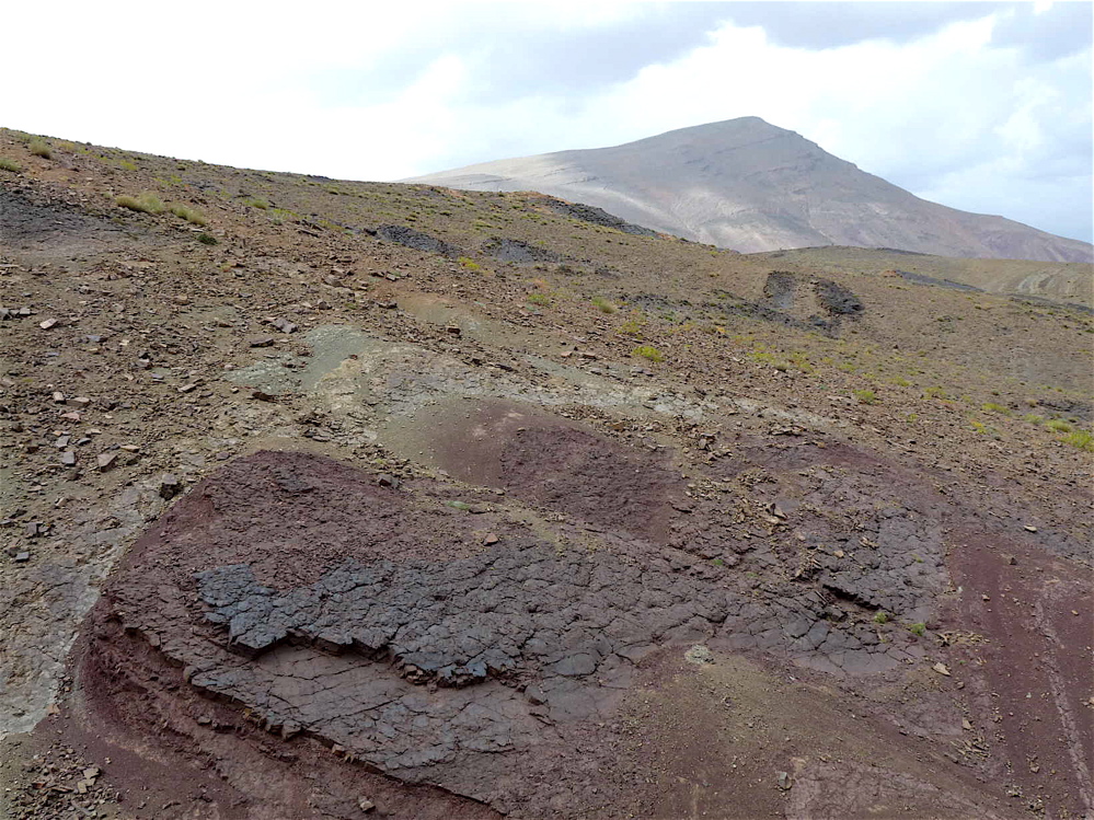 3_7._p1220275.jpg 3_7._p1220275.jpg