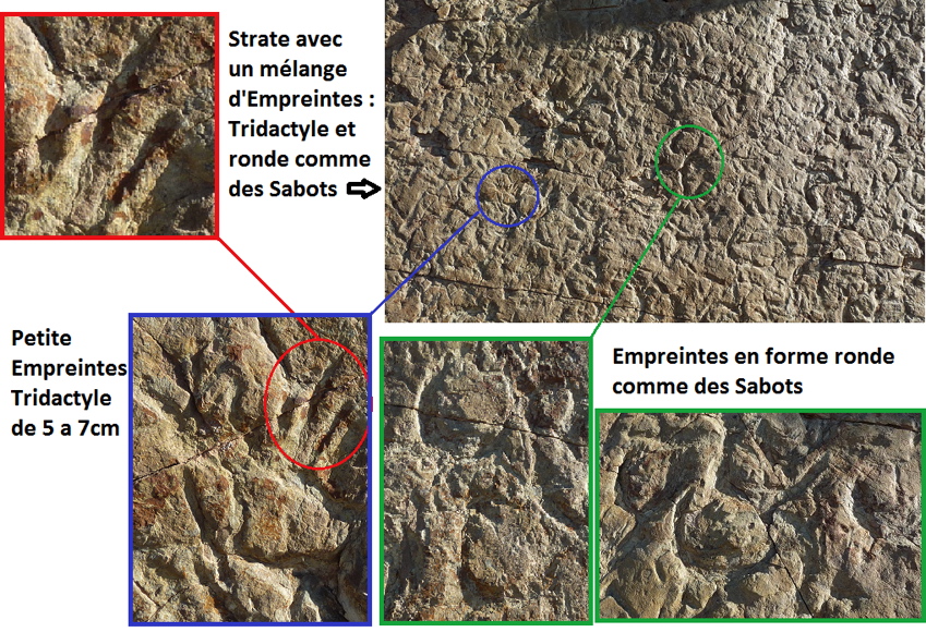 45_-_plan.jpg 45_-_plan.jpg