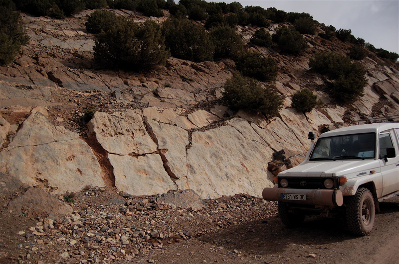 thumb_1a._dsc_0257.jpg thumb_1a._dsc_0257.jpg