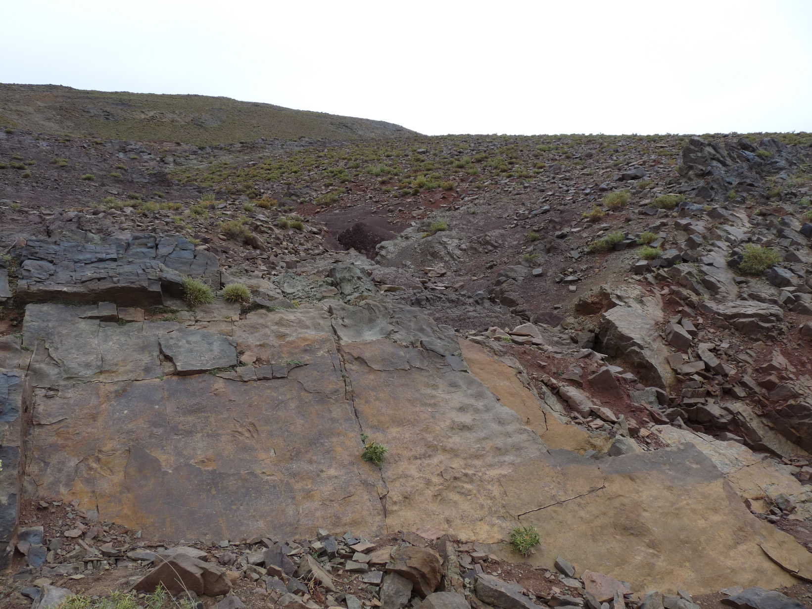 4a_1._p1210902.jpg 4a_1._p1210902.jpg