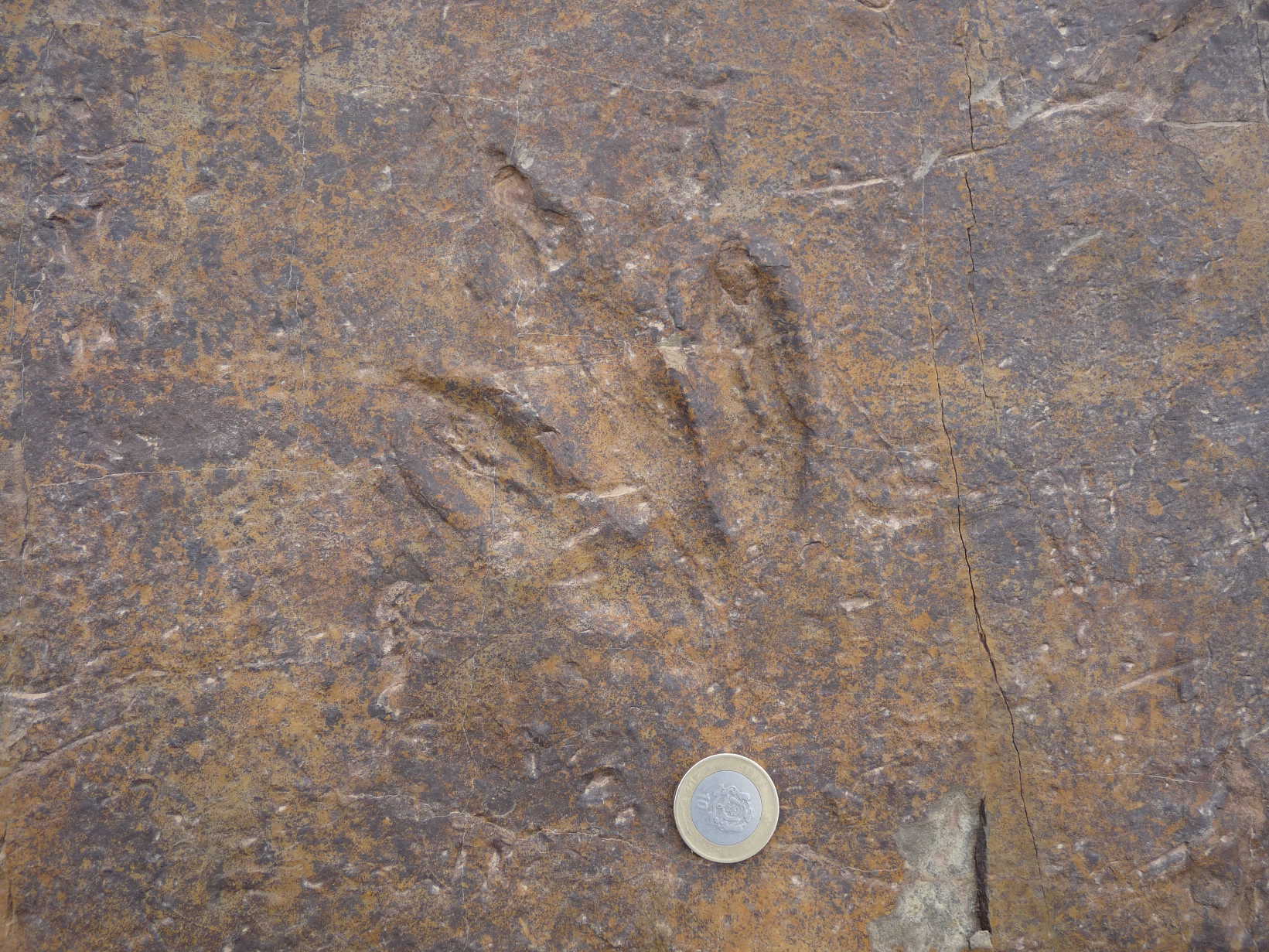 4a_2._p1210898.jpg 4a_2._p1210898.jpg