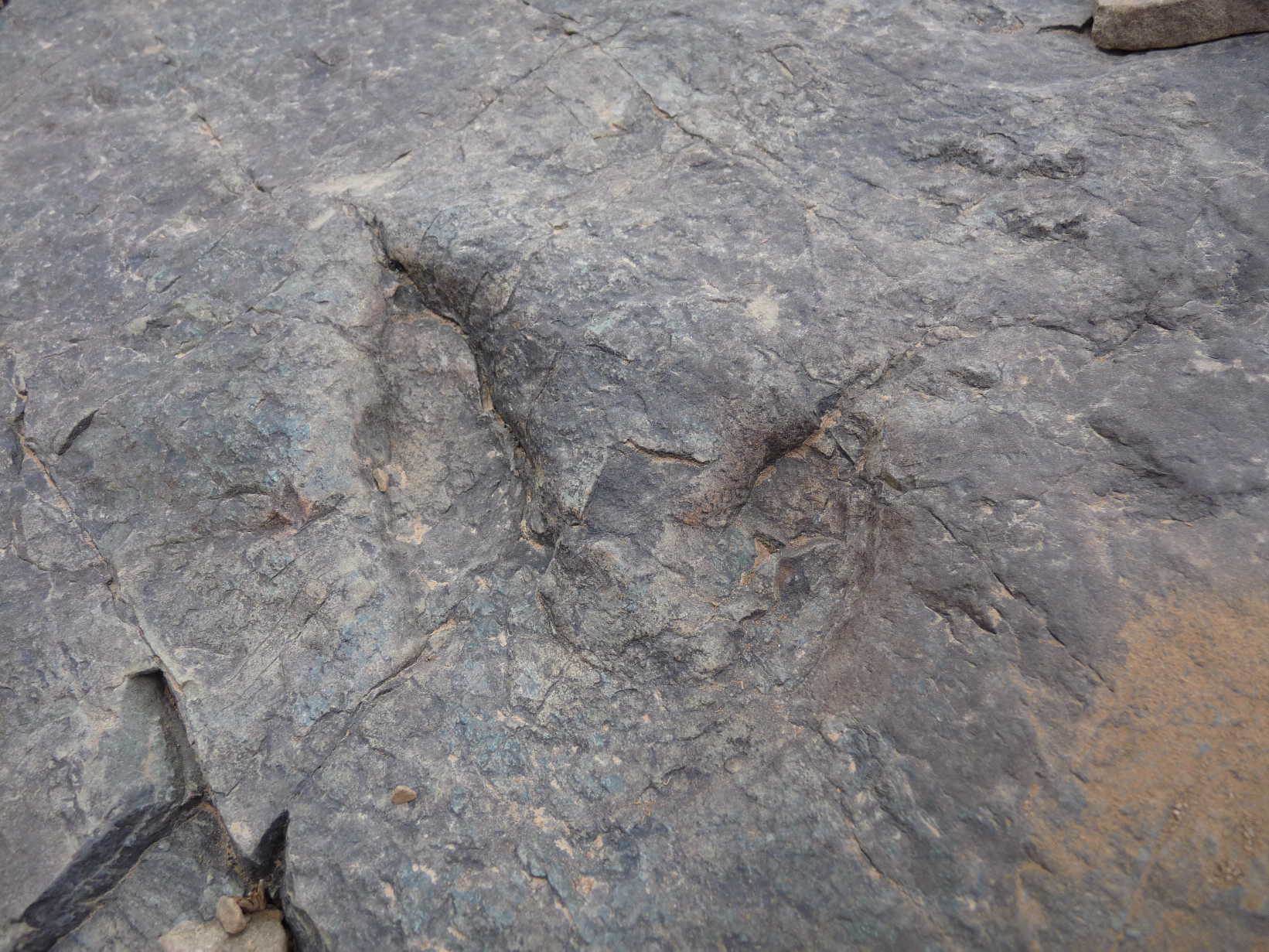 4b_1._p1210917.jpg 4b_1._p1210917.jpg