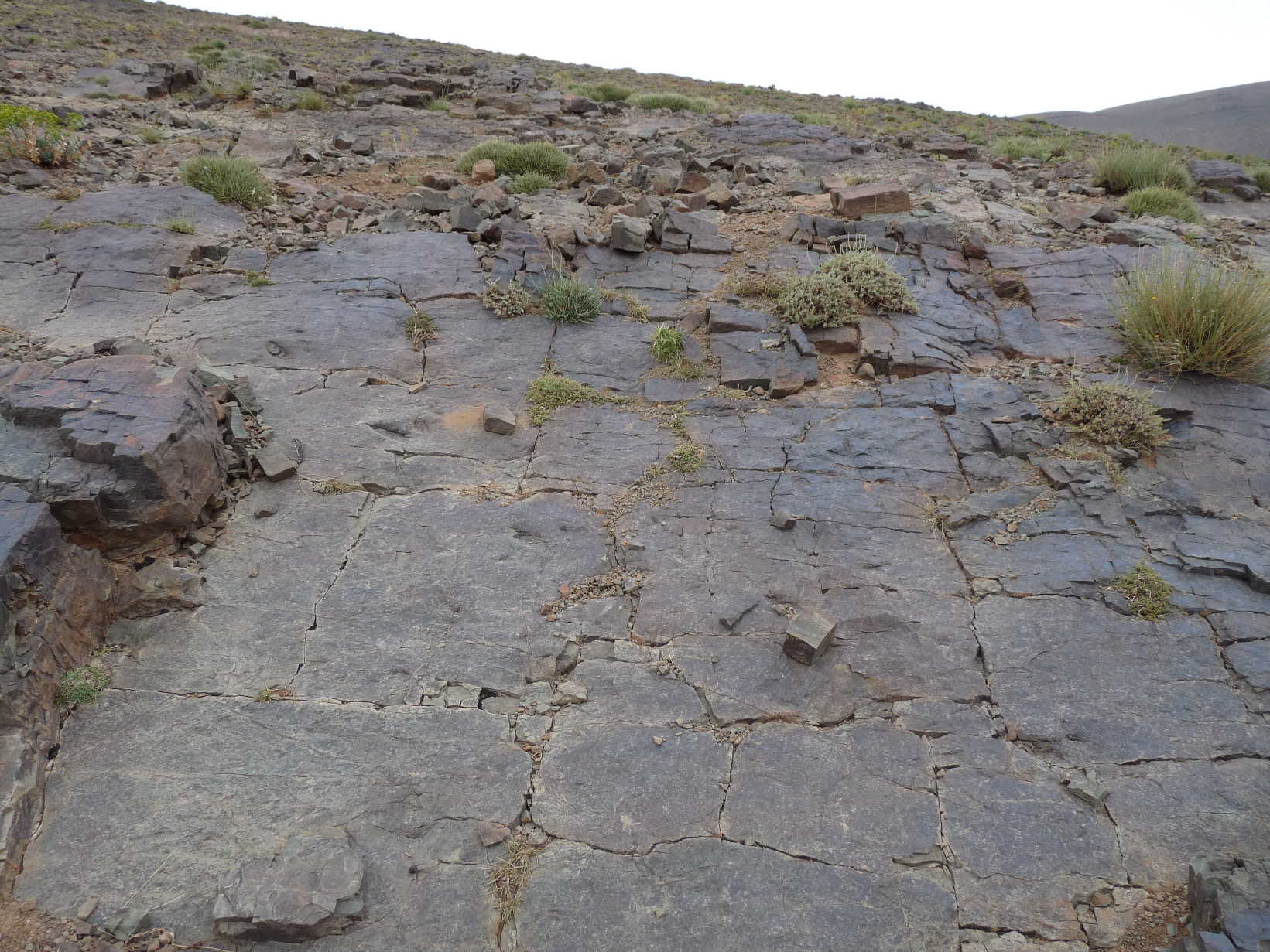 4b_1._p1210918.jpg 4b_1._p1210918.jpg