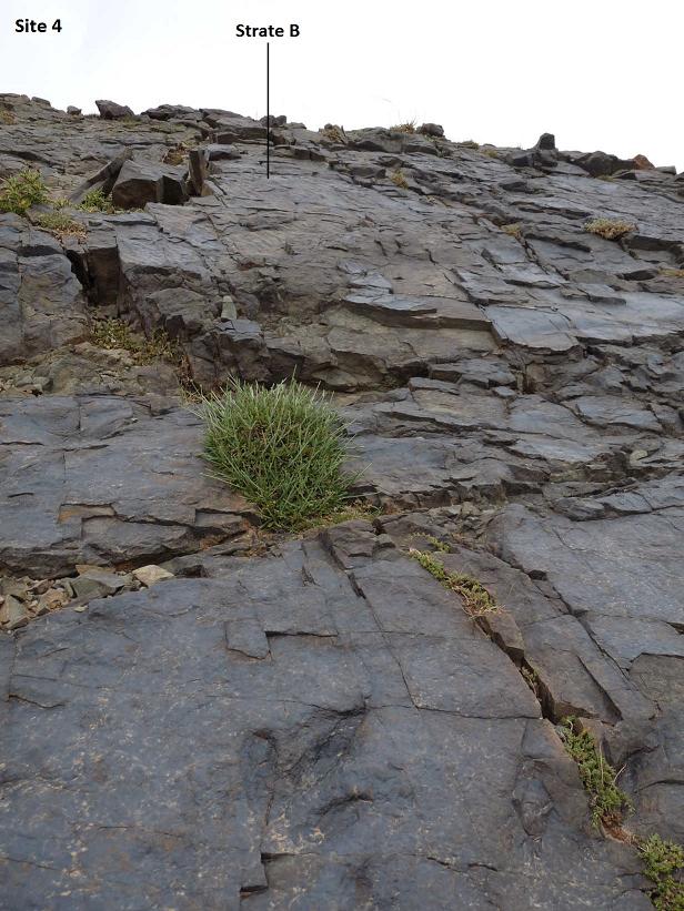 4b_2._p1210920.jpg 4b_2._p1210920.jpg