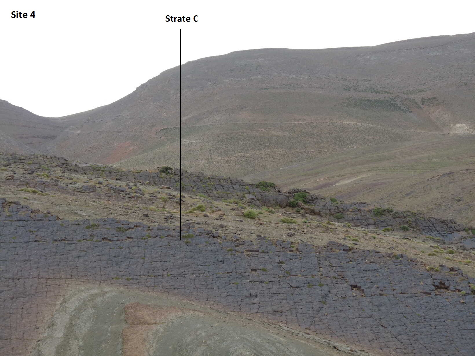 4c_1._p1220360.jpg 4c_1._p1220360.jpg