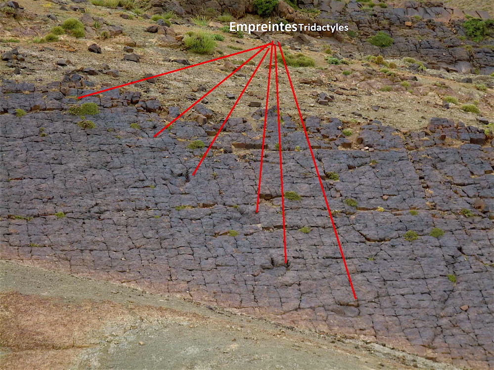 4c_2._p1220358.jpg 4c_2._p1220358.jpg