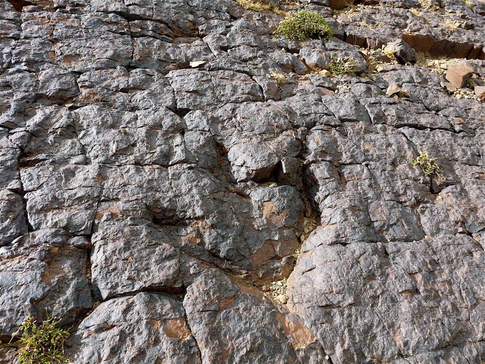 4c_3._p1220329.jpg 4c_3._p1220329.jpg