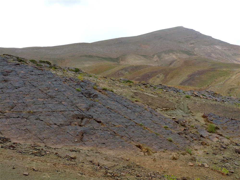 4c_5._p1220349.jpg 4c_5._p1220349.jpg