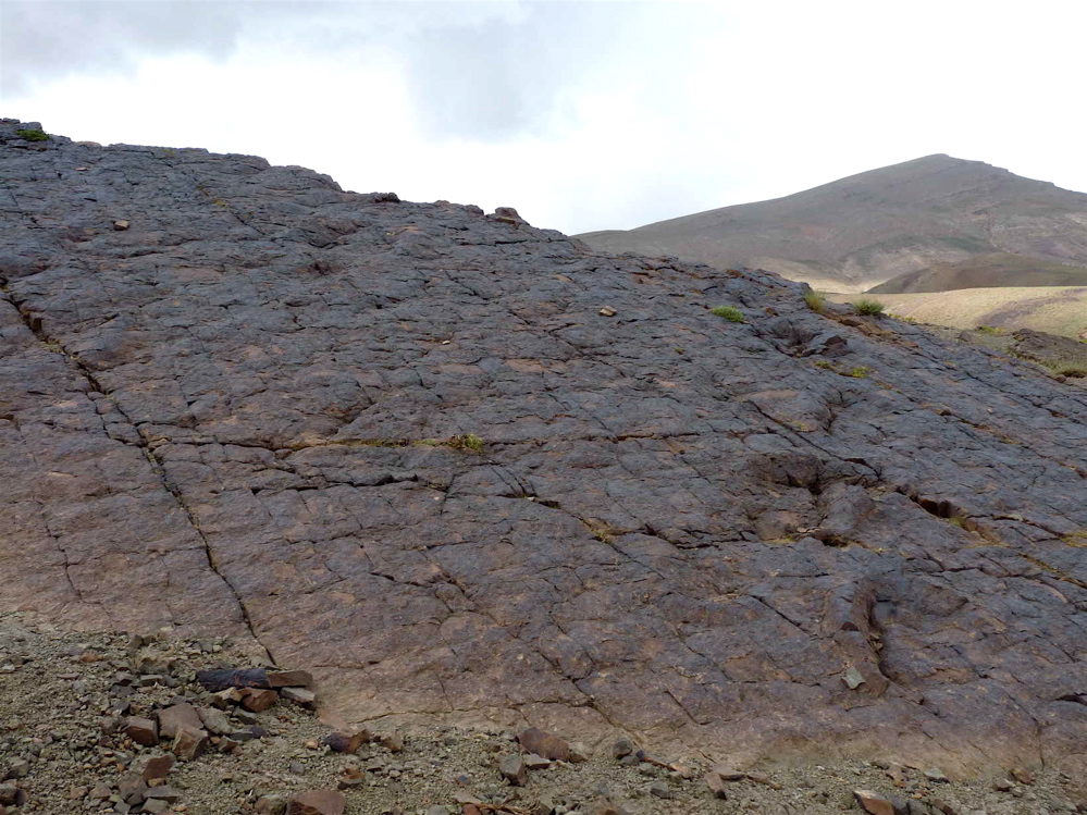 4c_6._p1220346.jpg 4c_6._p1220346.jpg