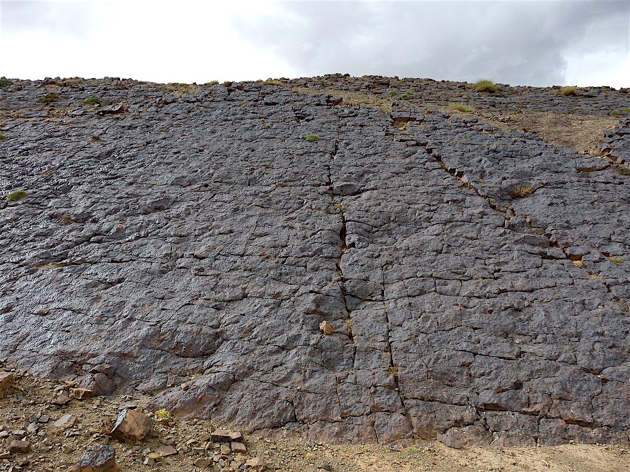 4c_8._p1220315.jpg 4c_8._p1220315.jpg