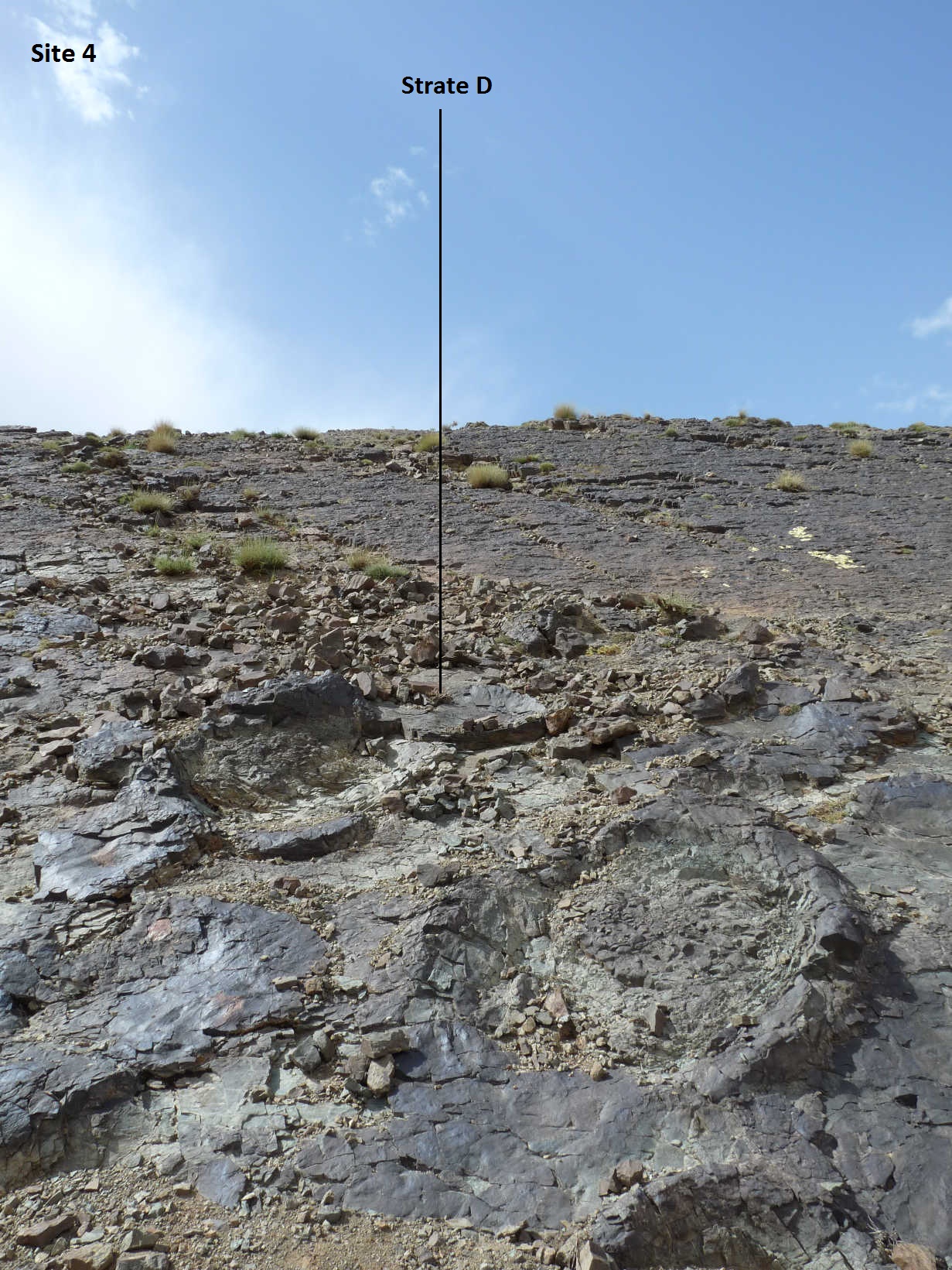 4d_1._p1220744.jpg 4d_1._p1220744.jpg