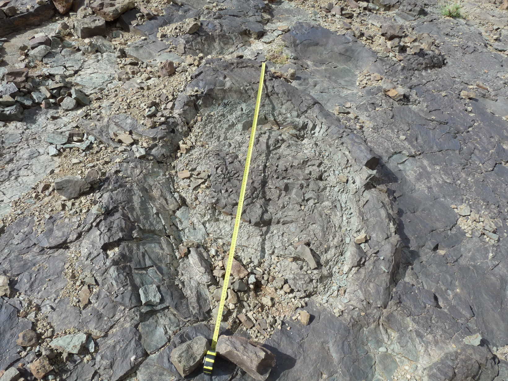 4d_2._p1220742.jpg 4d_2._p1220742.jpg