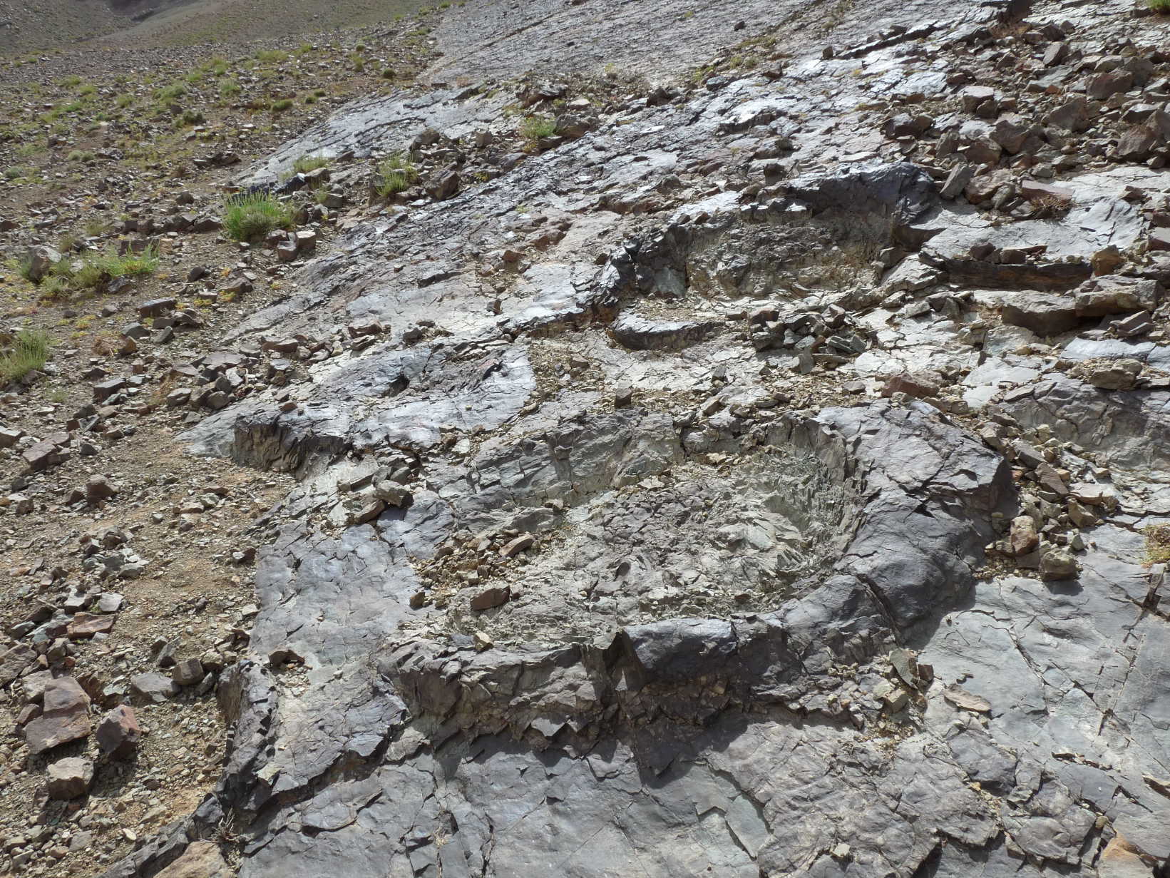 4d_5._p1220752.jpg 4d_5._p1220752.jpg